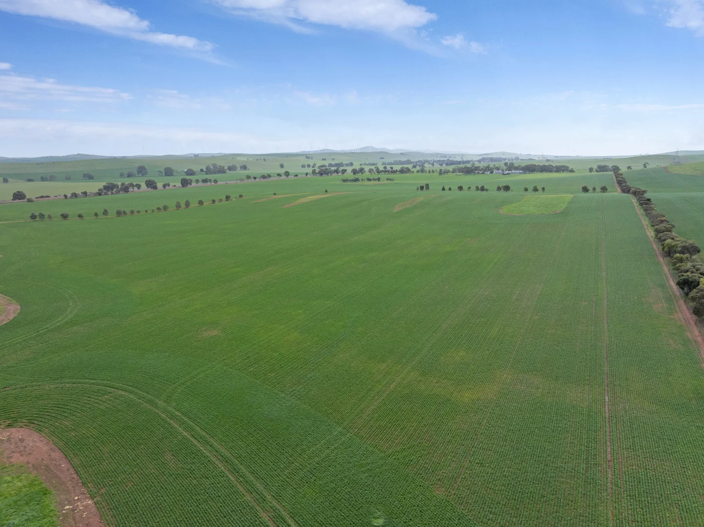 Additional image 4 of 'Hamilton Run Farm' Murchland Drive, Jamestown SA 5491