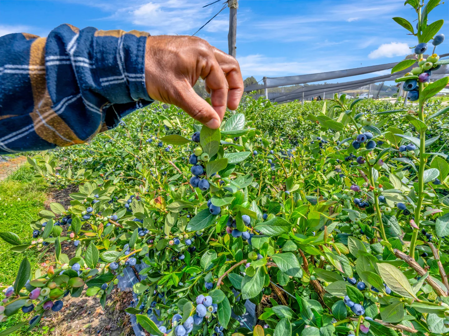 Additional image 27 of 13 Schuppe Drive, Congarinni North NSW 2447