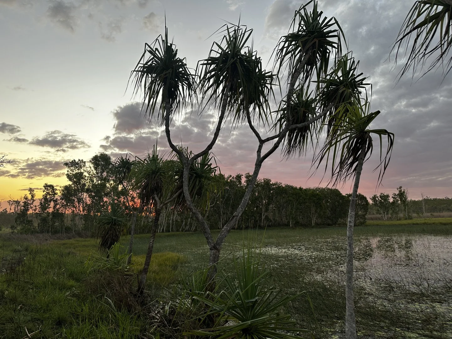 Darwin River NT 0841