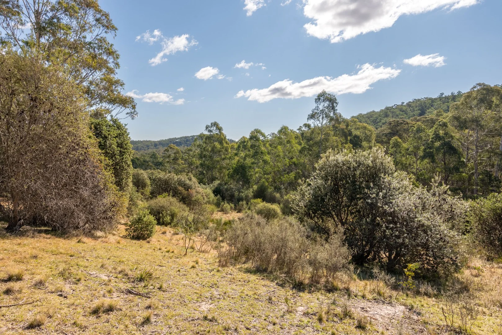 Additional image 8 of 153 Blue Bush Road, Wyanbene NSW 2622