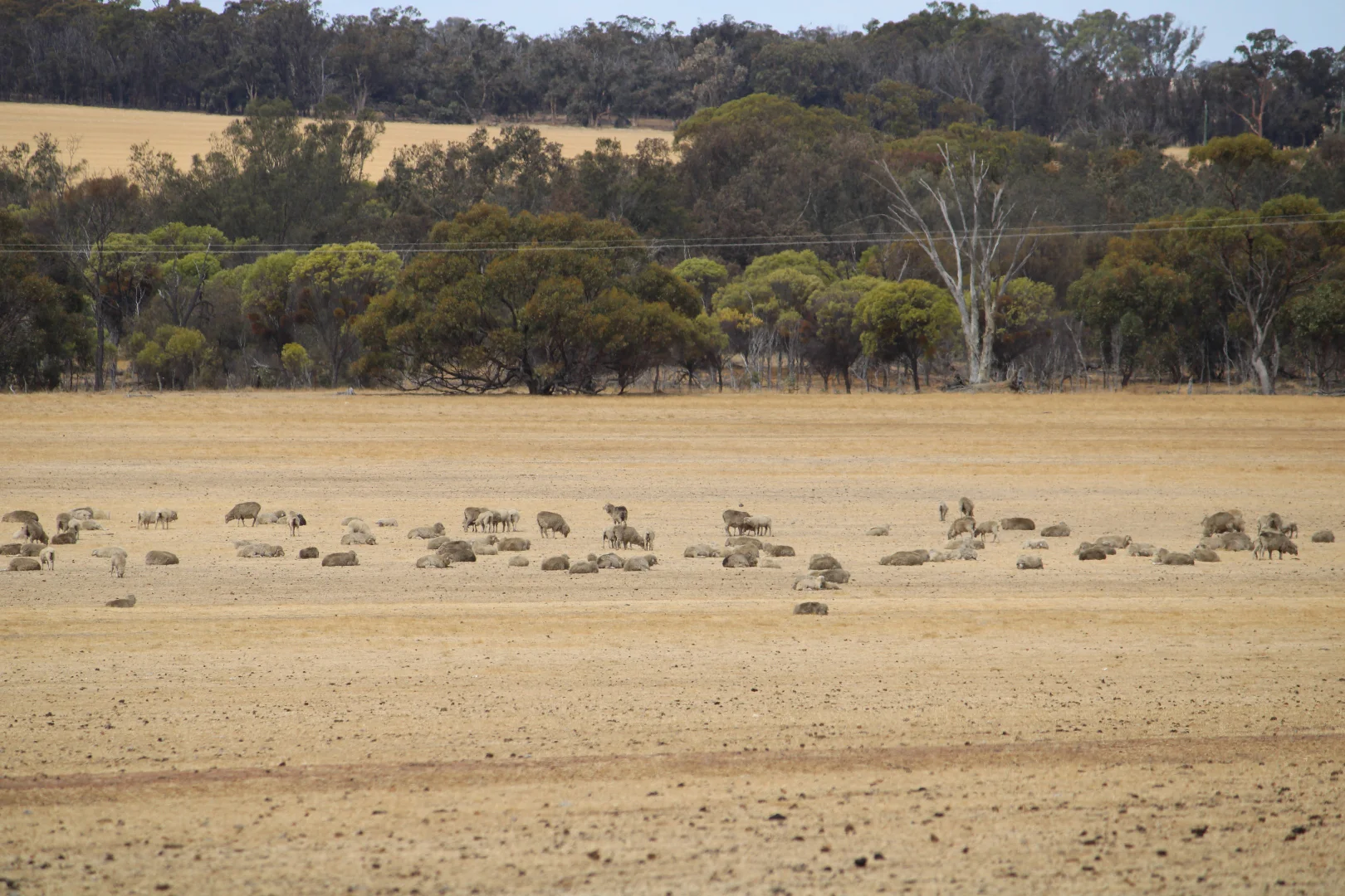 Additional image 5 of 191 Great Southern Highway, Woodanilling WA 6316
