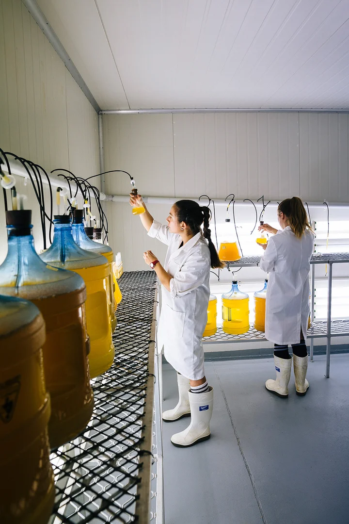 Additional image 10 of Alva QLD 4807