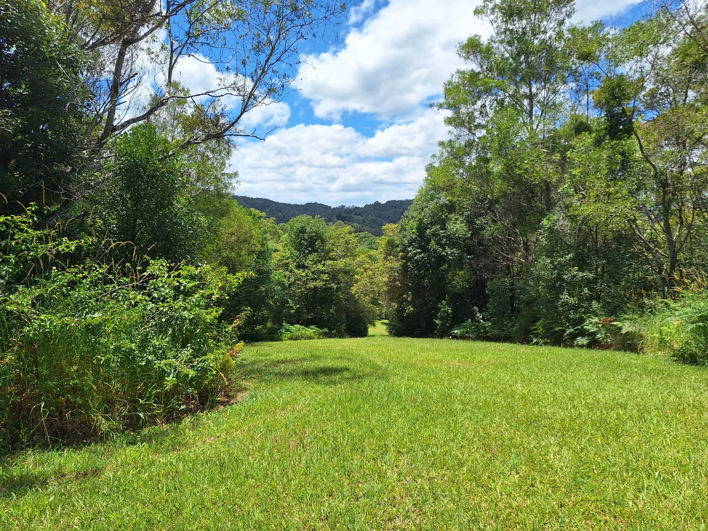 Additional image 19 of 291 Upper Crystal Creek Road, Crystal Creek NSW 2484