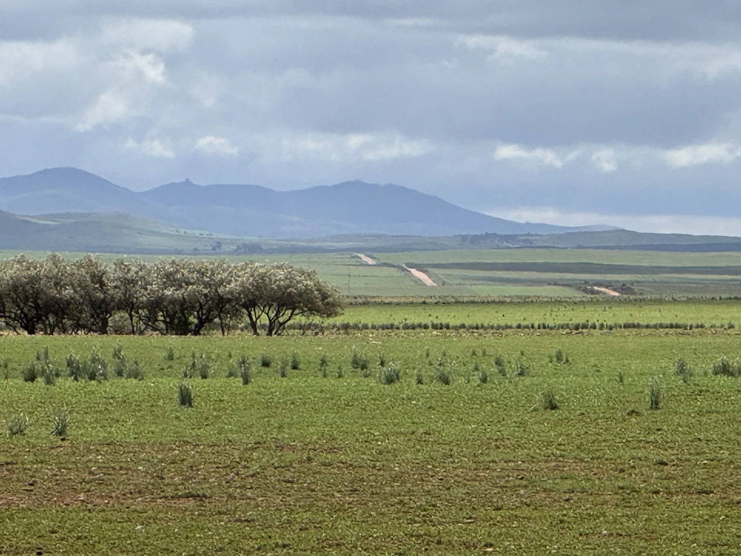 Additional image 5 of Redgum Road, Willowie SA 5431