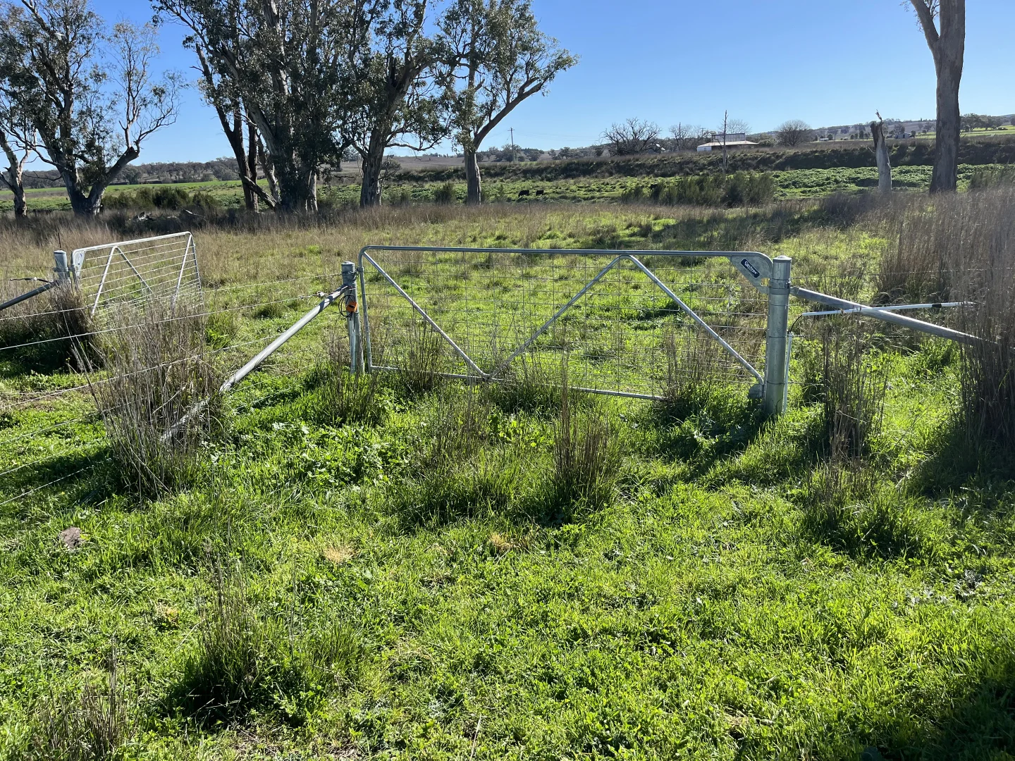 Additional image 21 of "Piambra" 714 Piambra Road, Binnaway NSW 2395