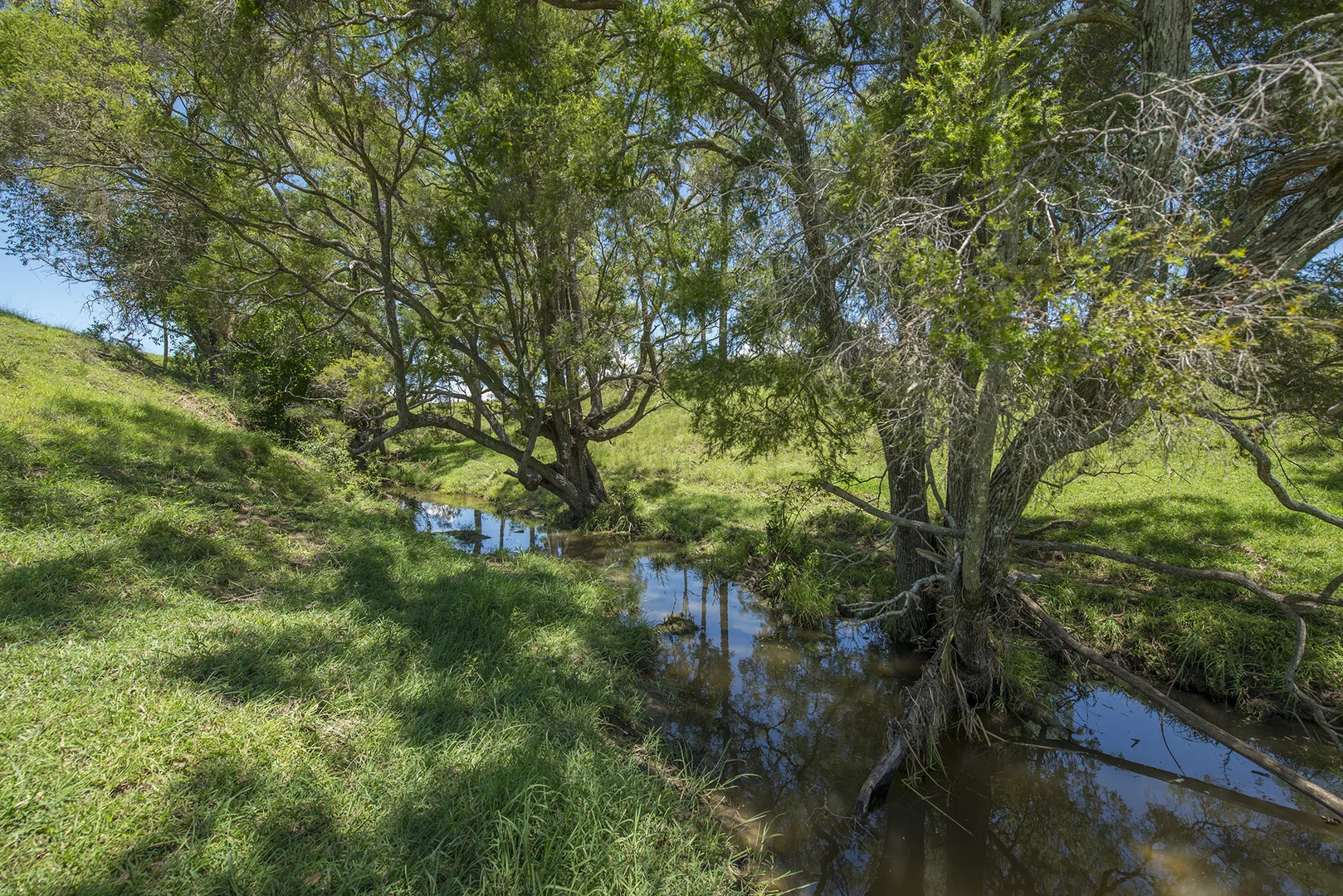 Additional image 10 of Corner Tralee & Waines Road, Mount Walker West QLD 4340