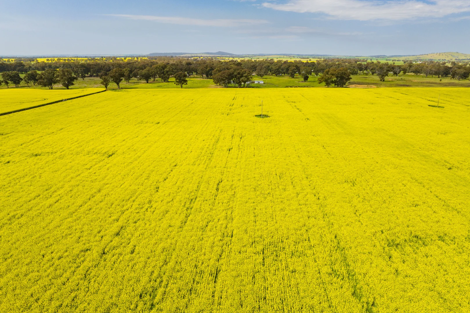 Additional image 5 of 93 Racecourse Lane, Stockinbingal NSW 2725