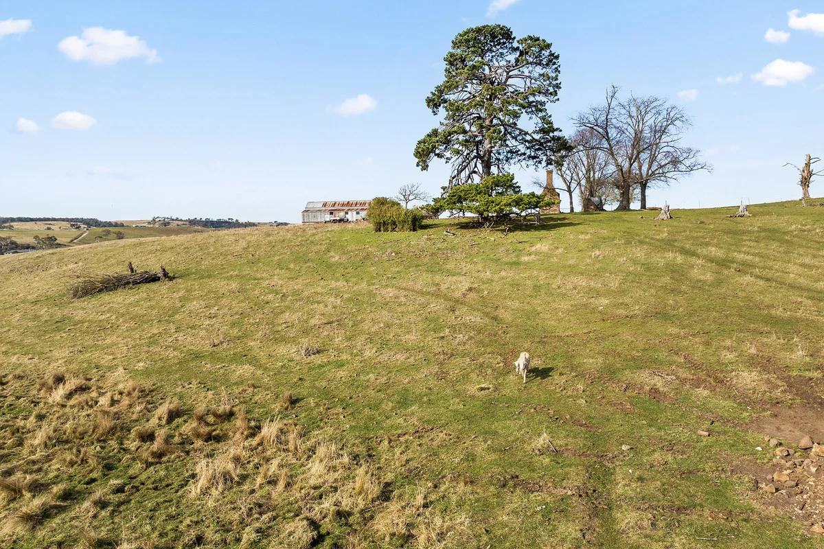 Additional image 13 of 4595 Oberon Road, Taralga NSW 2580