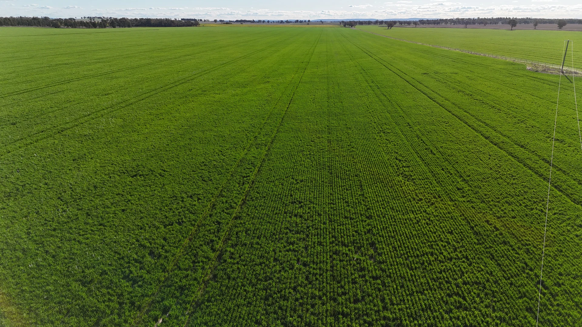 Additional image 2 of 92 Millers Lane, Parkes NSW 2870