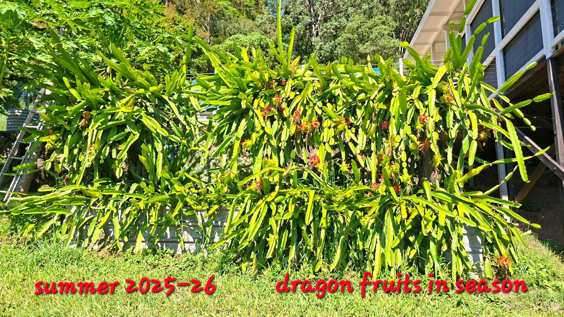 Additional image 25 of 32/265 Martin Road, Larnook NSW 2480