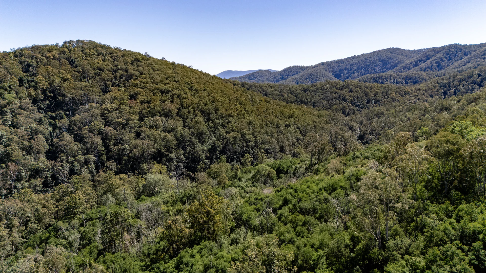 Additional image 11 of 3542 Nowendoc Road, Caffreys Flat NSW 2424