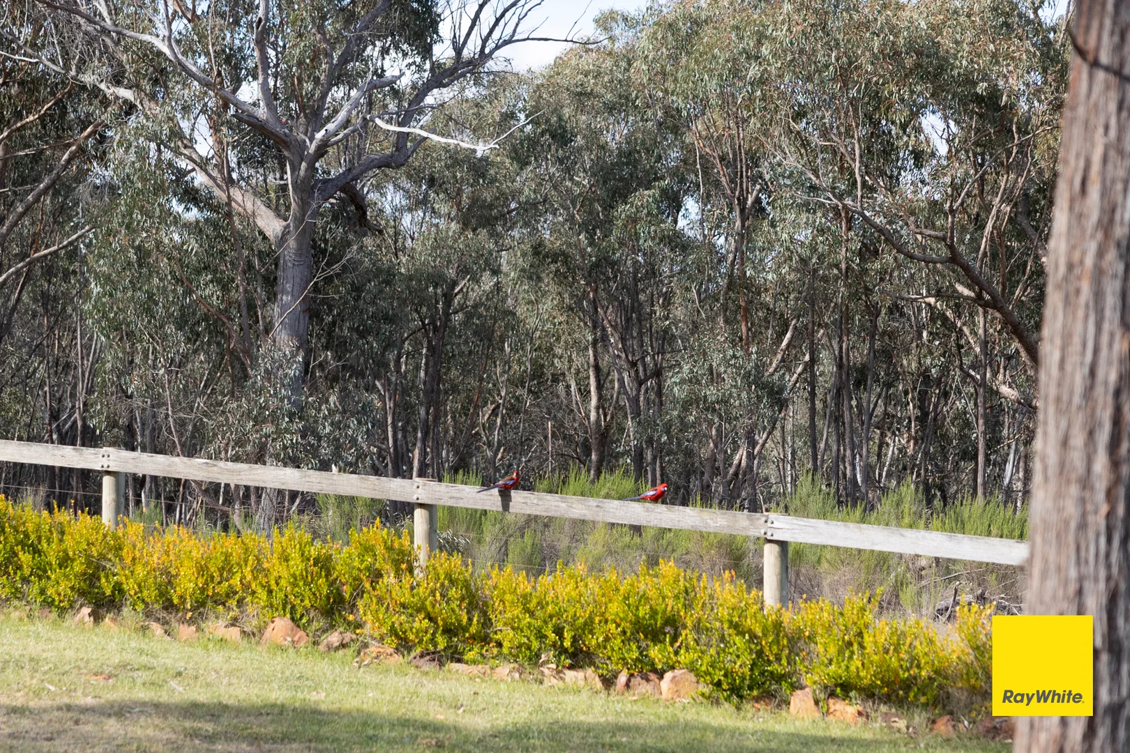 Additional image 21 of 3 Darmody Place, Sutton NSW 2620