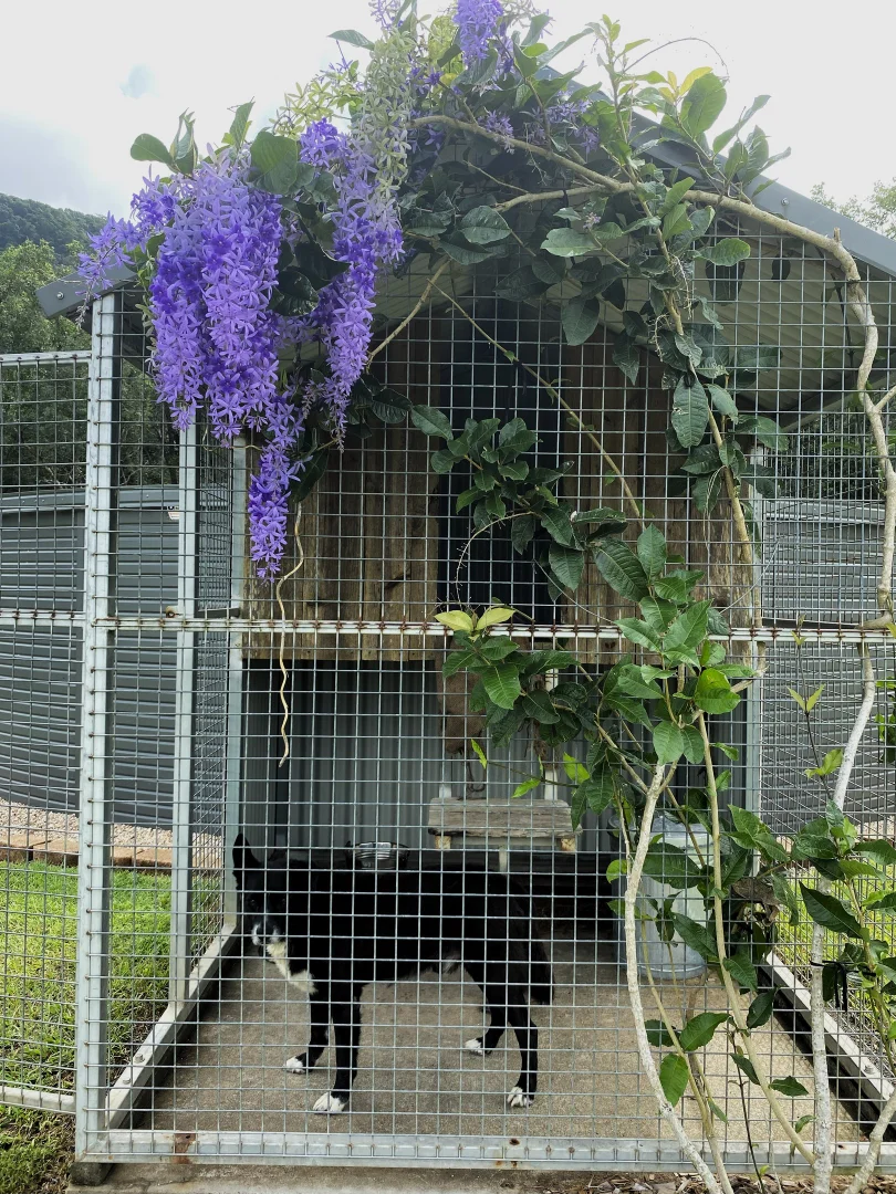 Additional image 33 of 326 Devereux Creek Road, Devereux Creek QLD 4753