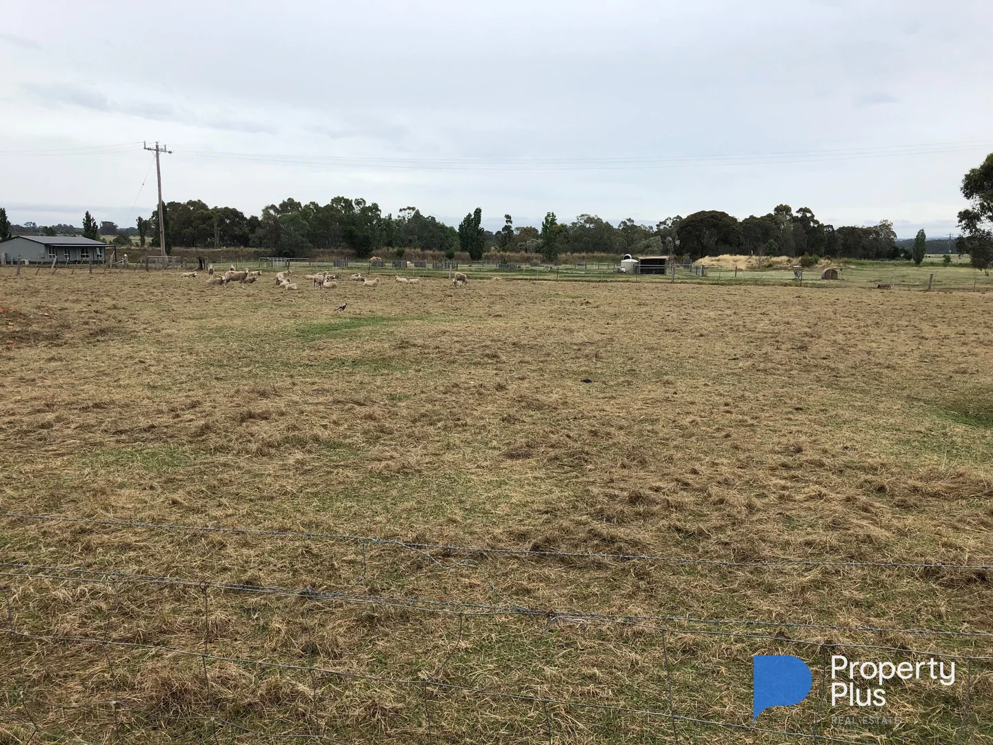 Additional image 12 of 5 Whittakers Lane, Talbot VIC 3371