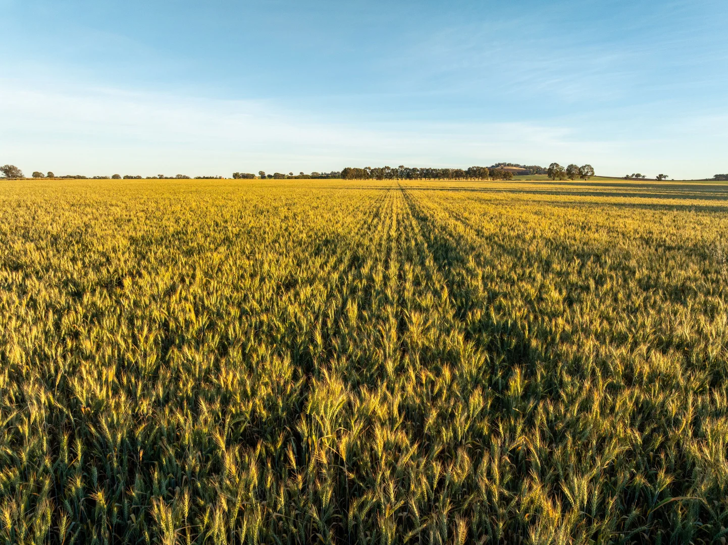 Additional image 6 of 158 Bethel Road, Burrumbuttock NSW 2642