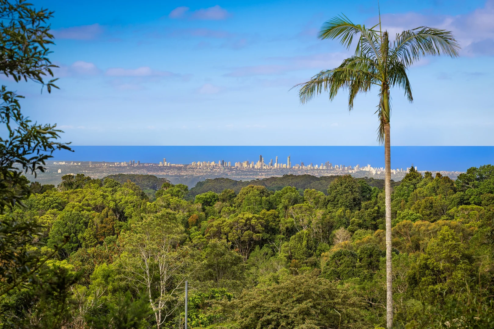 Additional image 22 of 162 Repeater Station Road, Springbrook QLD 4213