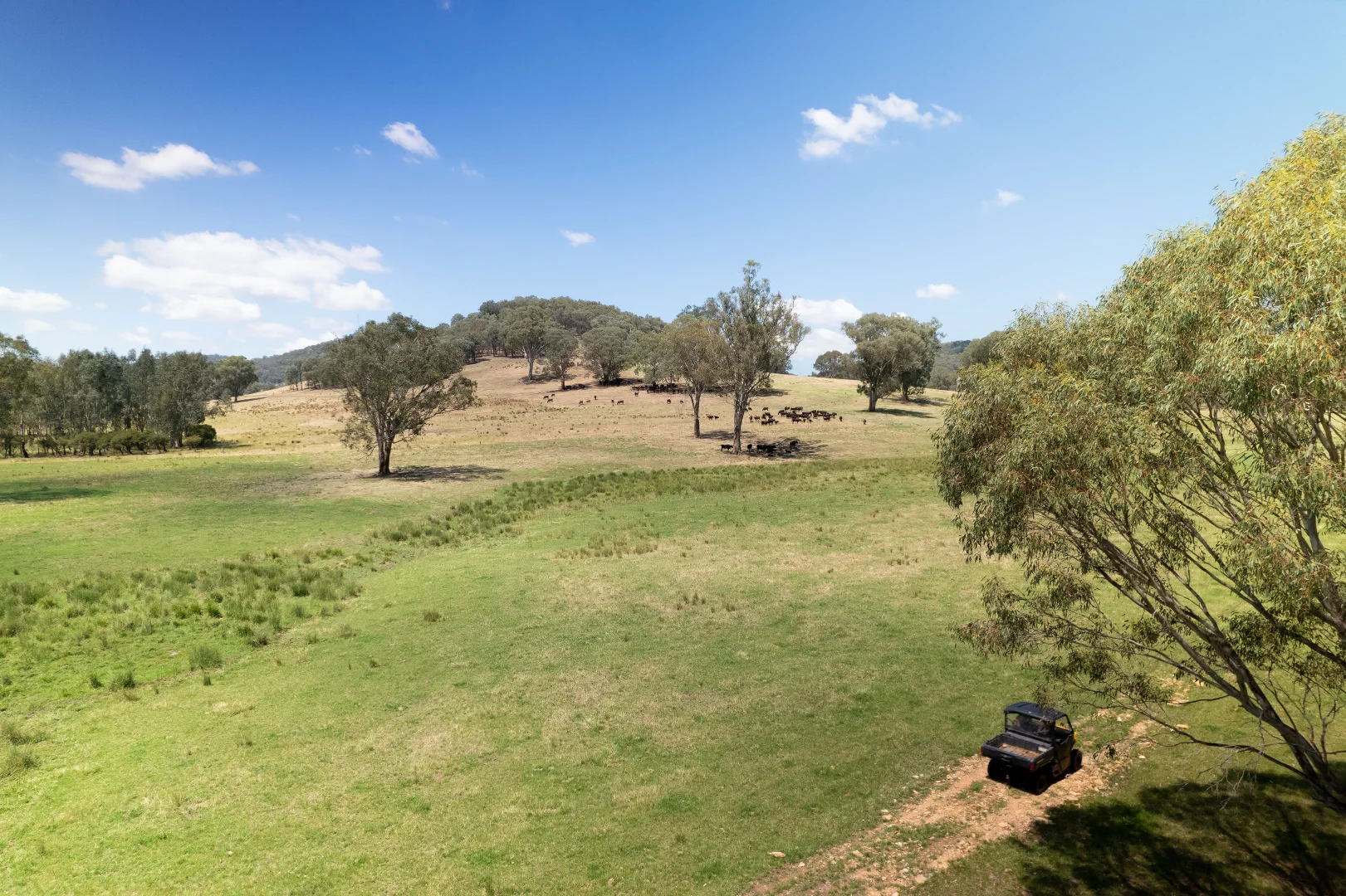 Additional image 12 of - Moyhu-Meadow Creek Road, Moyhu VIC 3732
