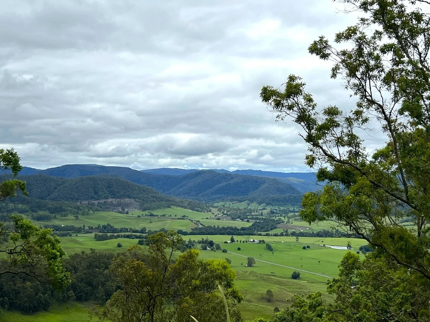 Additional image 9 of 59 Wyndham Road, Wyneden NSW 2474