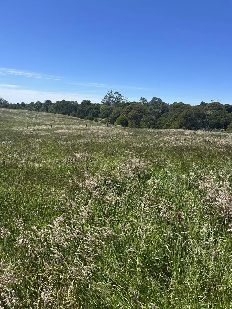 Additional image 11 of 18A Great Ocean Road, Lavers Hill VIC 3238