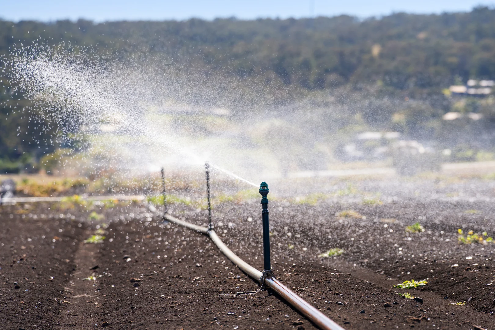 Additional image 8 of "Westview" 189 Toowoomba-Karara Road, Finnie QLD 4350