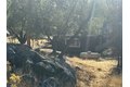 Additional image 55 of 28923 Highway 41, Coarsegold, CA, 93614