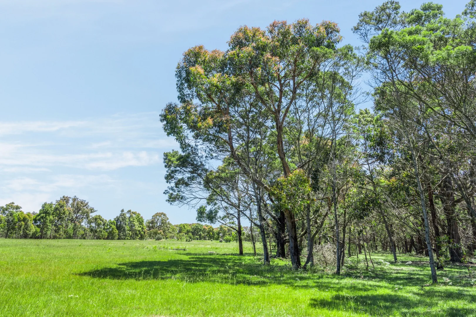 Additional image 4 of 10 Holloways Road, Wensleydale VIC 3241