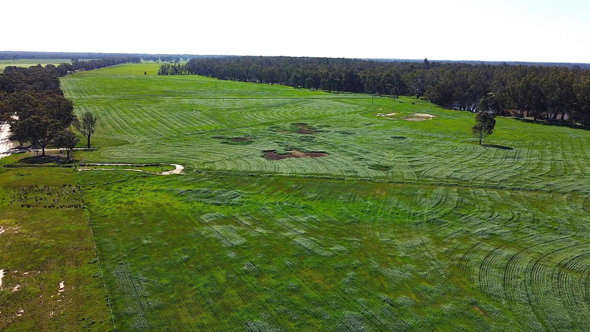 Additional image 6 of . Bangerang Road, Kanyapella VIC 3564