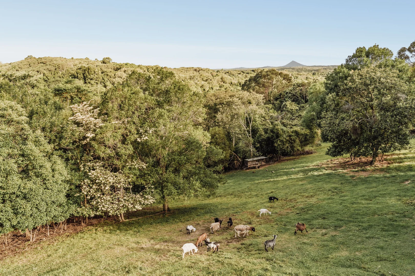 Additional image 25 of 74 Camphor Road, Pinbarren QLD 4568