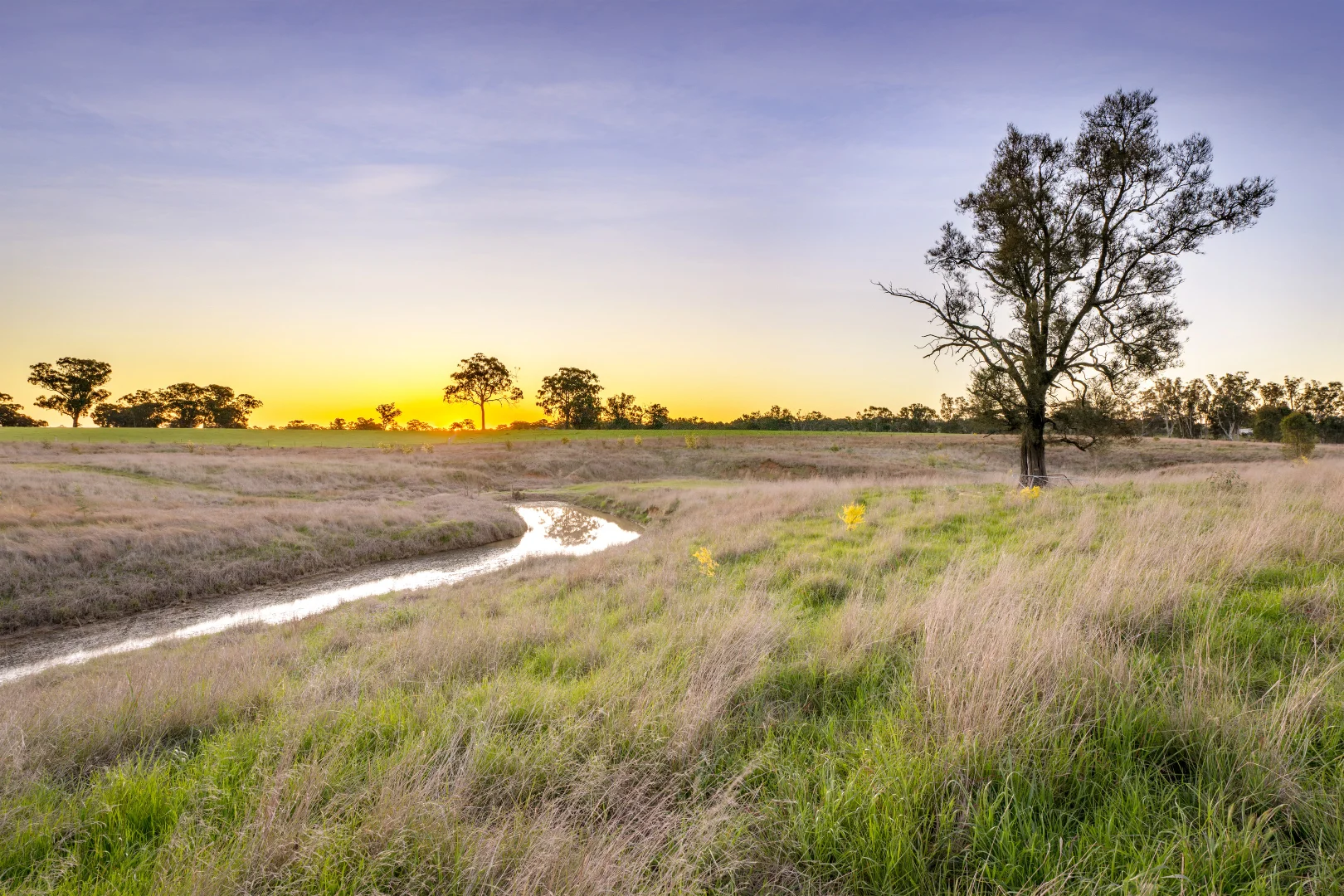 Additional image 36 of 617 Police Paddocks Rd, Carlyle VIC 3685