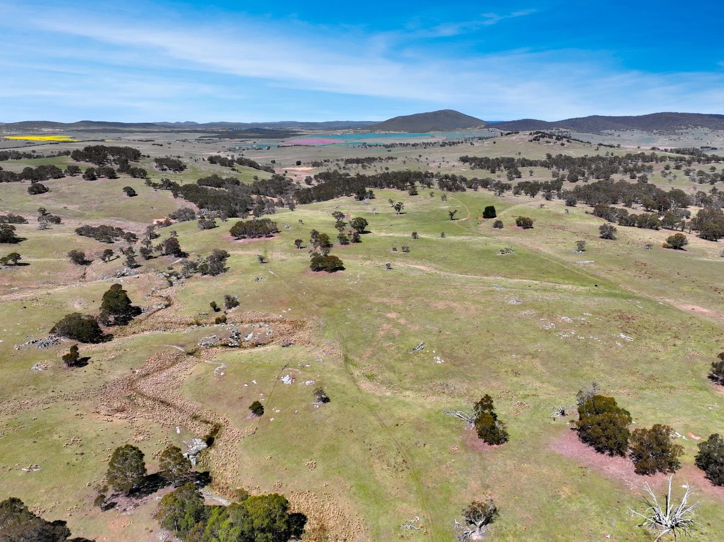 Additional image 18 of "Glenroy" Corrowong Road, Delegate NSW 2633