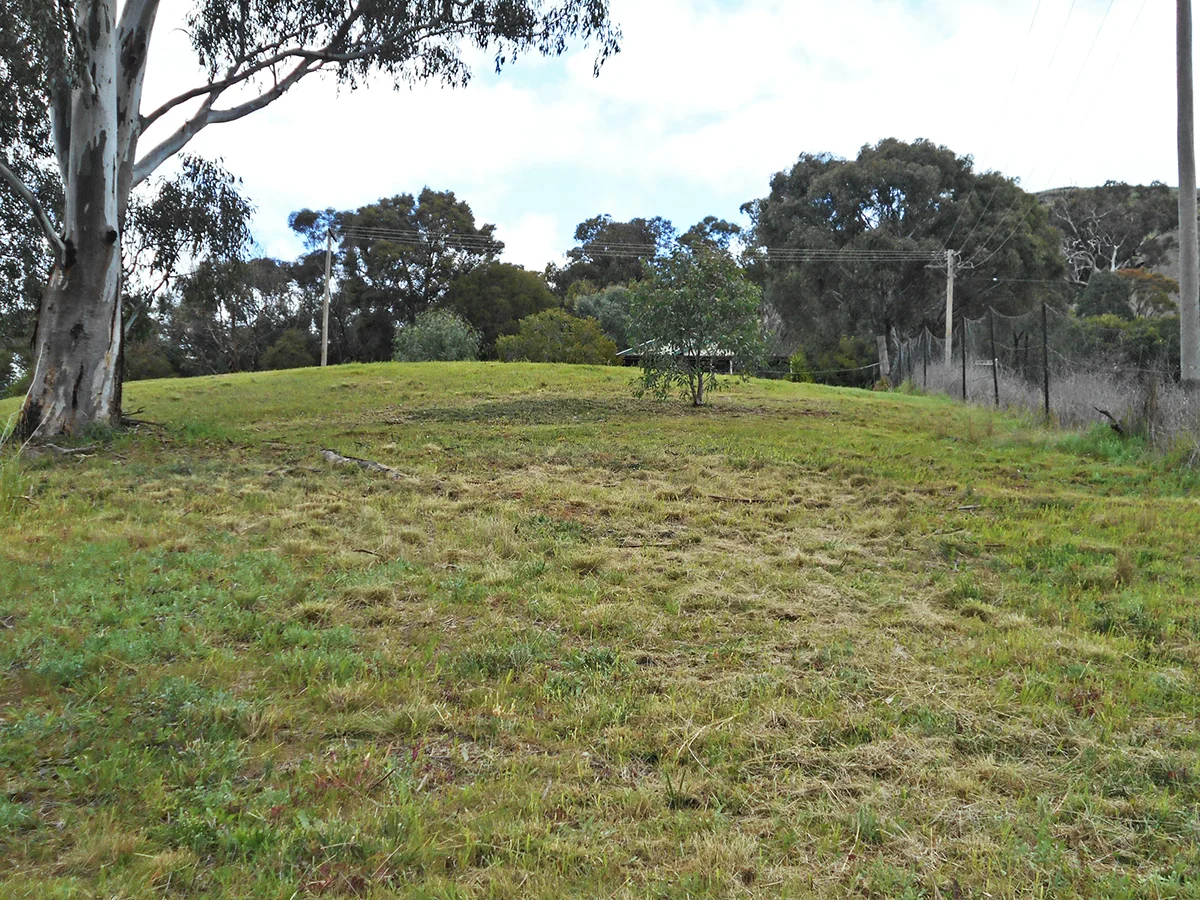 Additional image 21 of 33 Francis Ave, Gundagai NSW 2722