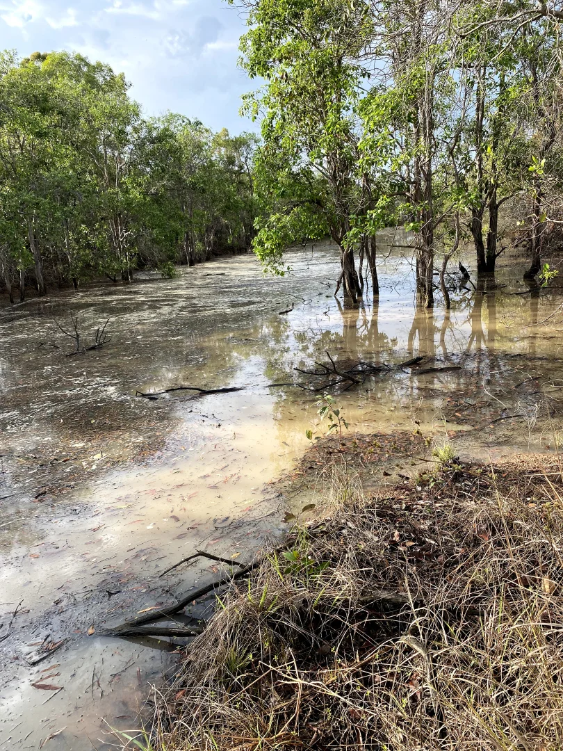 Additional image 15 of Alloway QLD 4670