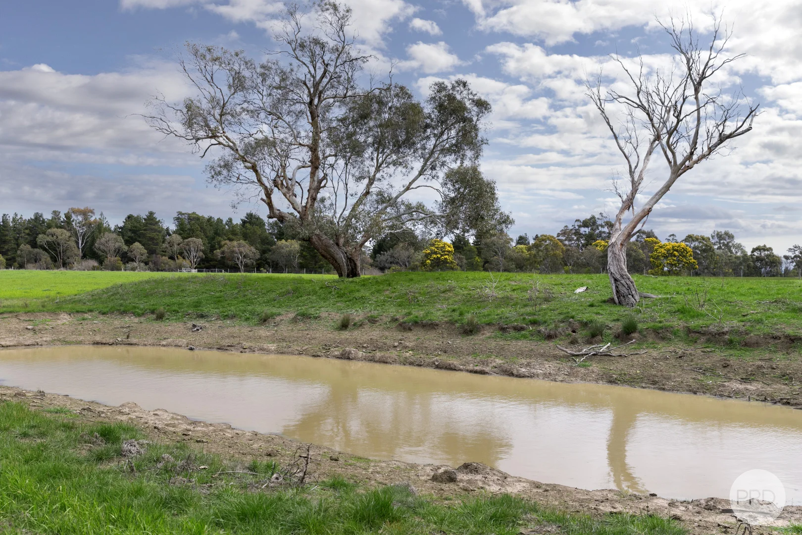 Additional image 6 of 360 Clunes-Creswick Road, Creswick VIC 3363