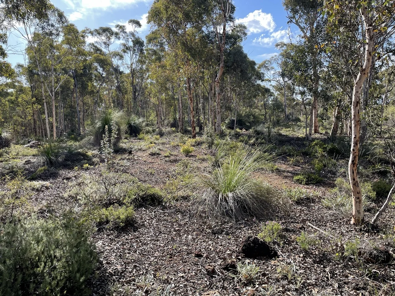 Additional image 12 of 200 Gumley Road, Bakers Hill WA 6562