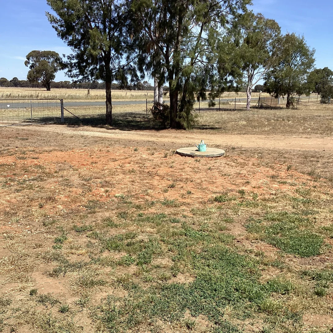 Additional image 12 of 58 Federal Street, Lockhart NSW 2656