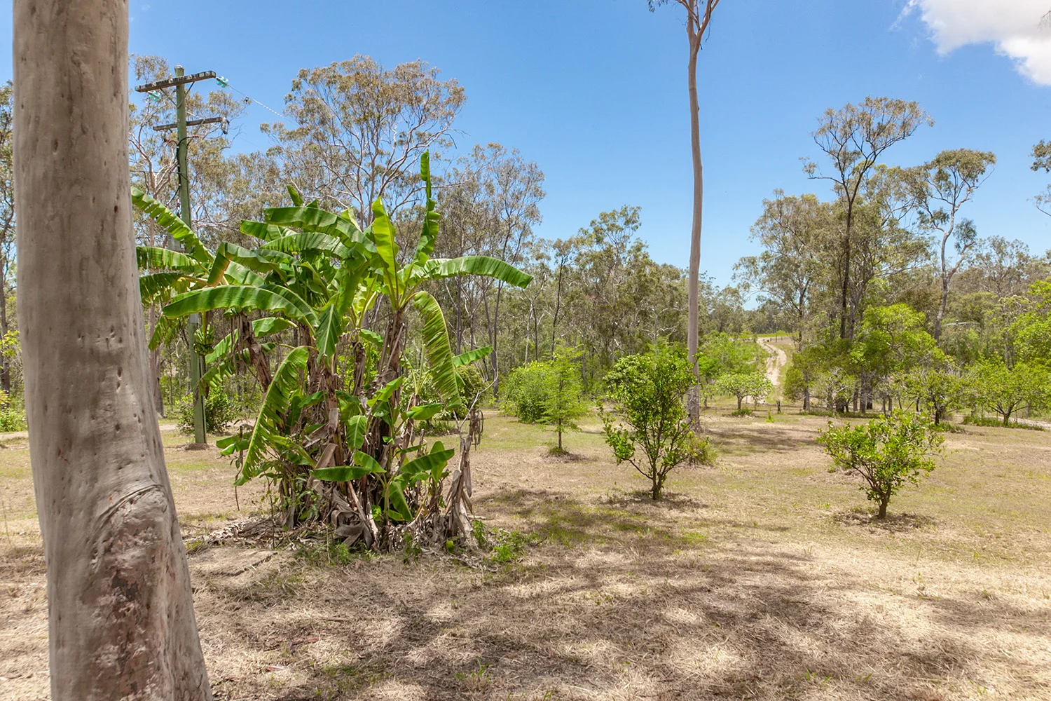 Additional image 31 of 608 Cross Rd, Euleilah QLD 4674