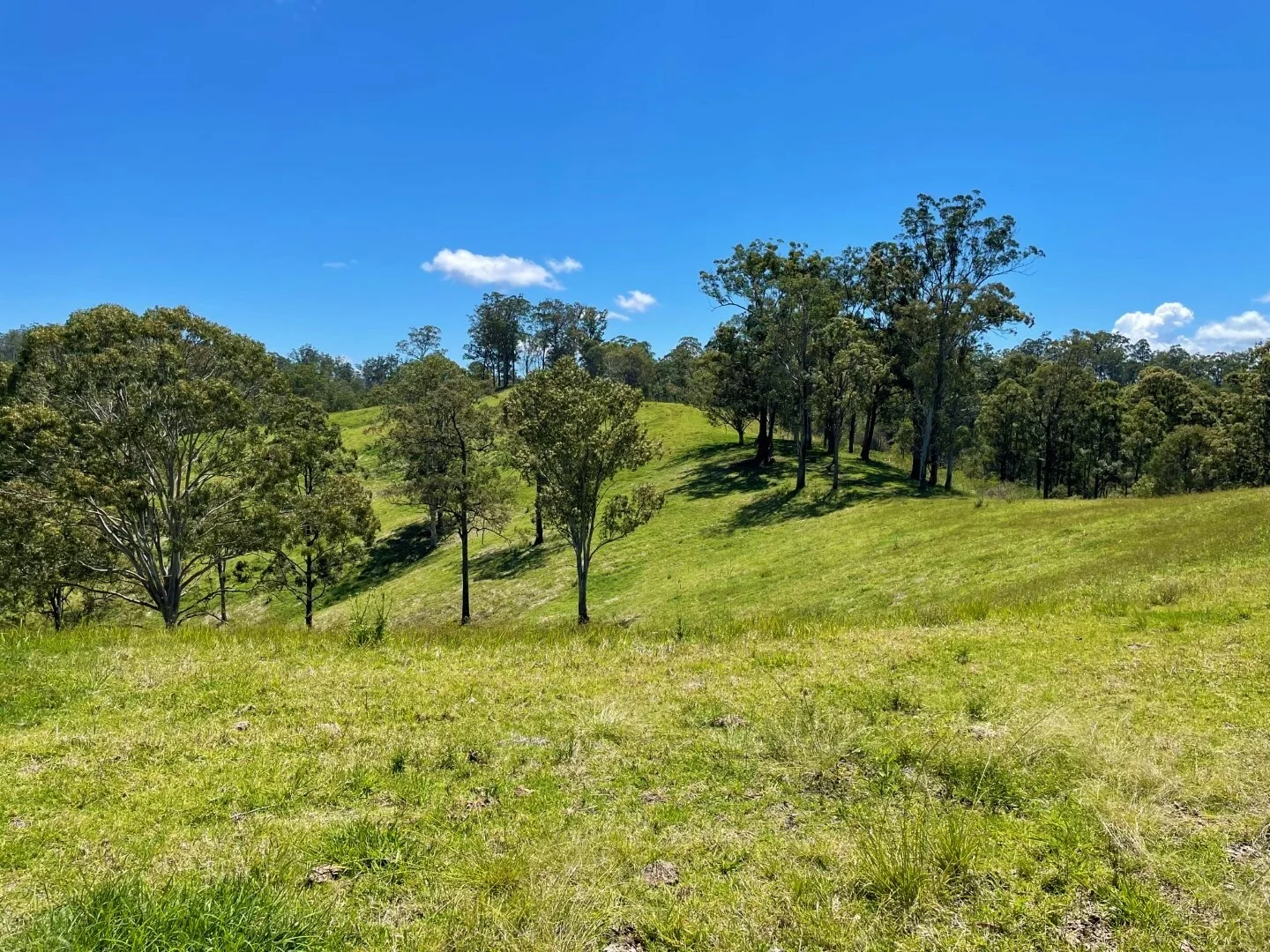 Additional image 5 of 59 Wyndham Road, Wyneden NSW 2474