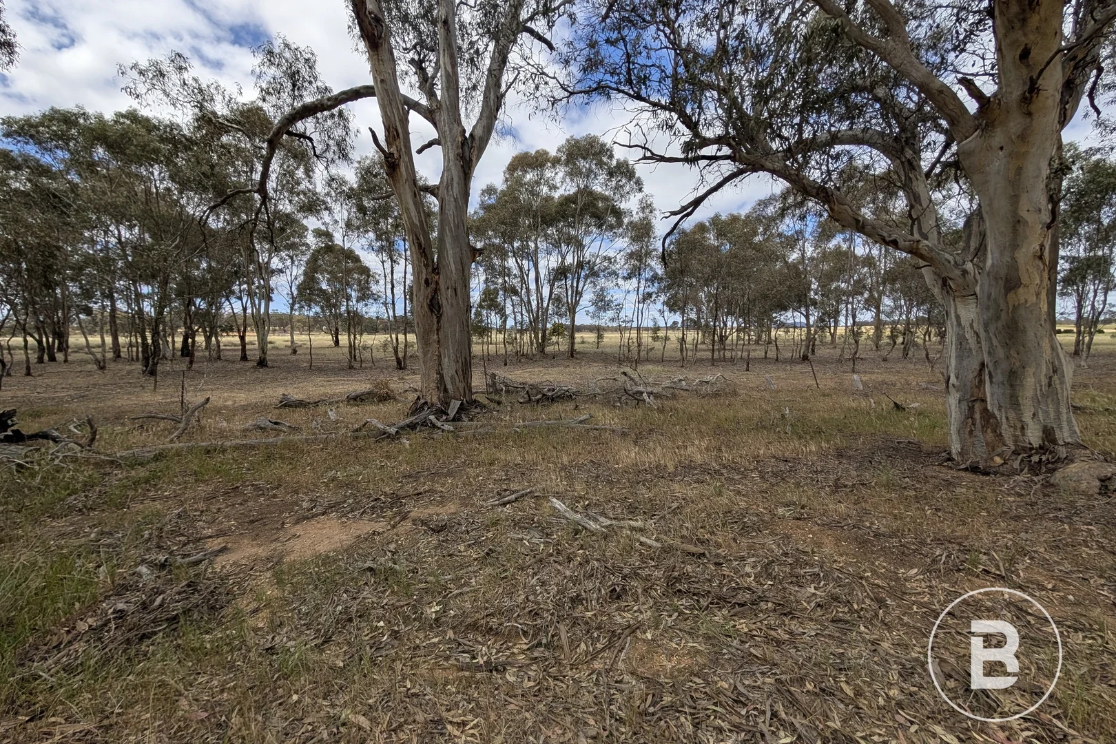 Additional image 14 of 5a Logan-Bealiba Road, Cochranes Creek VIC 3475