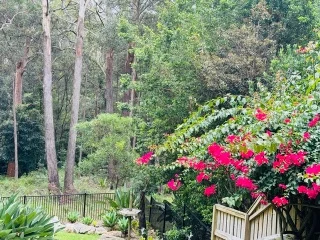 Additional image 29 of Castle Hill NSW 2154