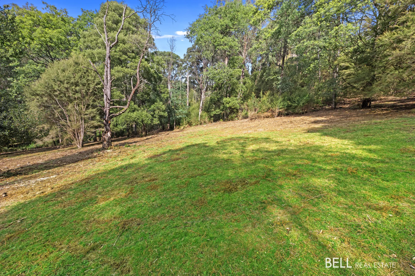 Additional image 6 of 555 Hazeldene Road, Gladysdale VIC 3797