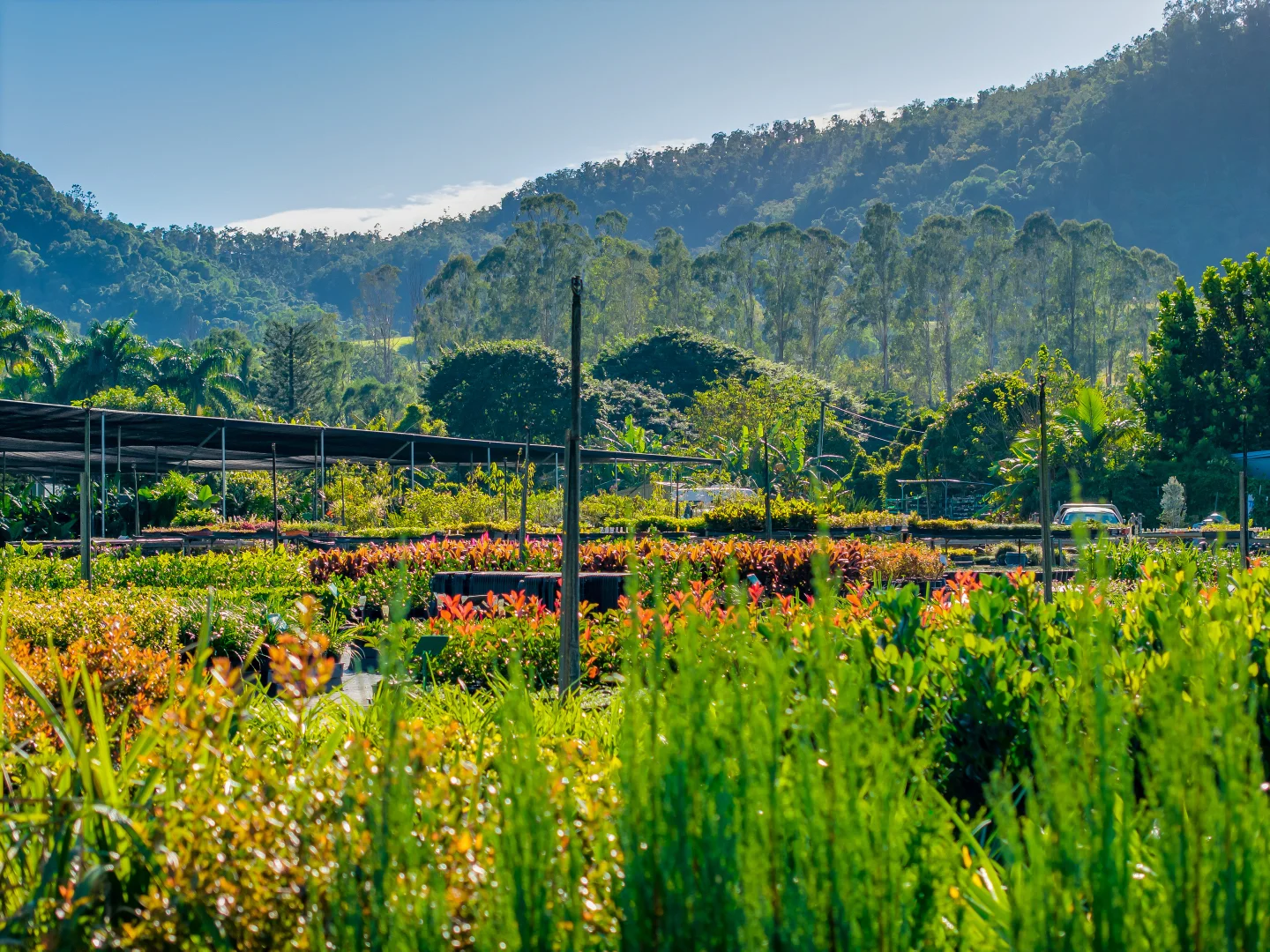 Additional image 7 of 69 Currey Road, Wongawallan QLD 4210