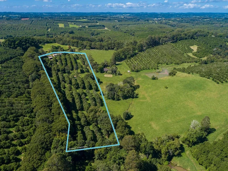 Additional image 31 of 5 Whian Whian Road, Dunoon NSW 2480