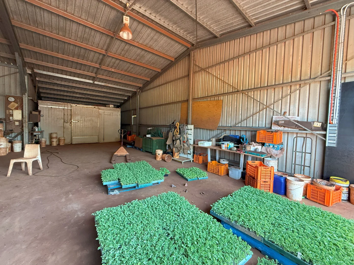 Additional image 77 of 767 Peeramon Road, Peeramon QLD 4885