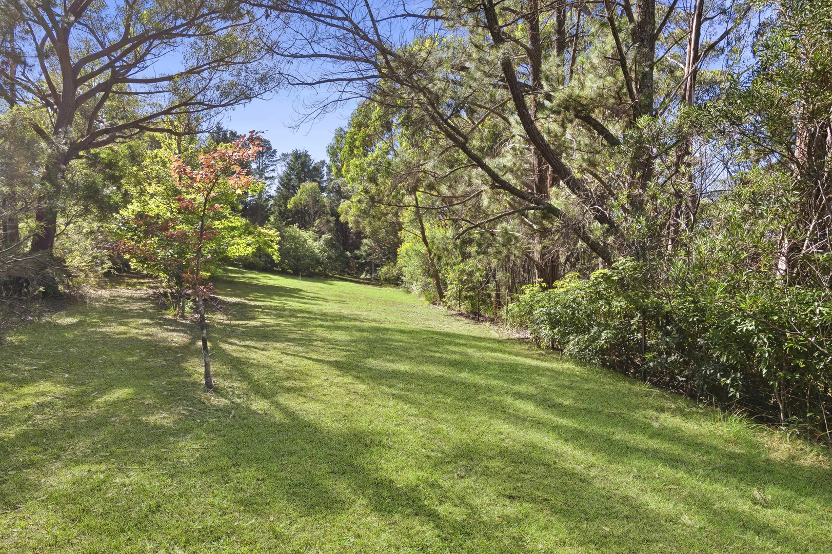 Additional image 16 of 174 Mountain Lagoon Road, Bilpin NSW 2758