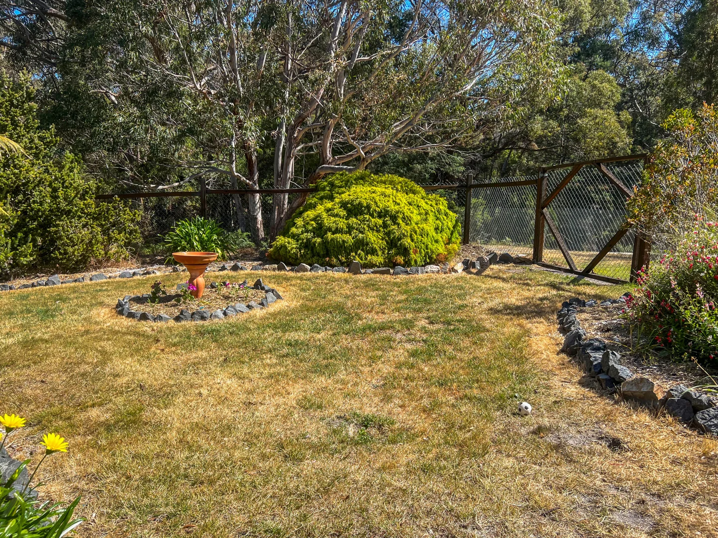 Additional image 36 of 20 Nicks Close, St Helens TAS 7216
