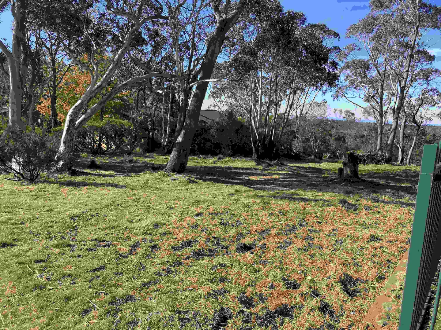 Additional image 11 of 1 Woodlands Road, Katoomba NSW 2780