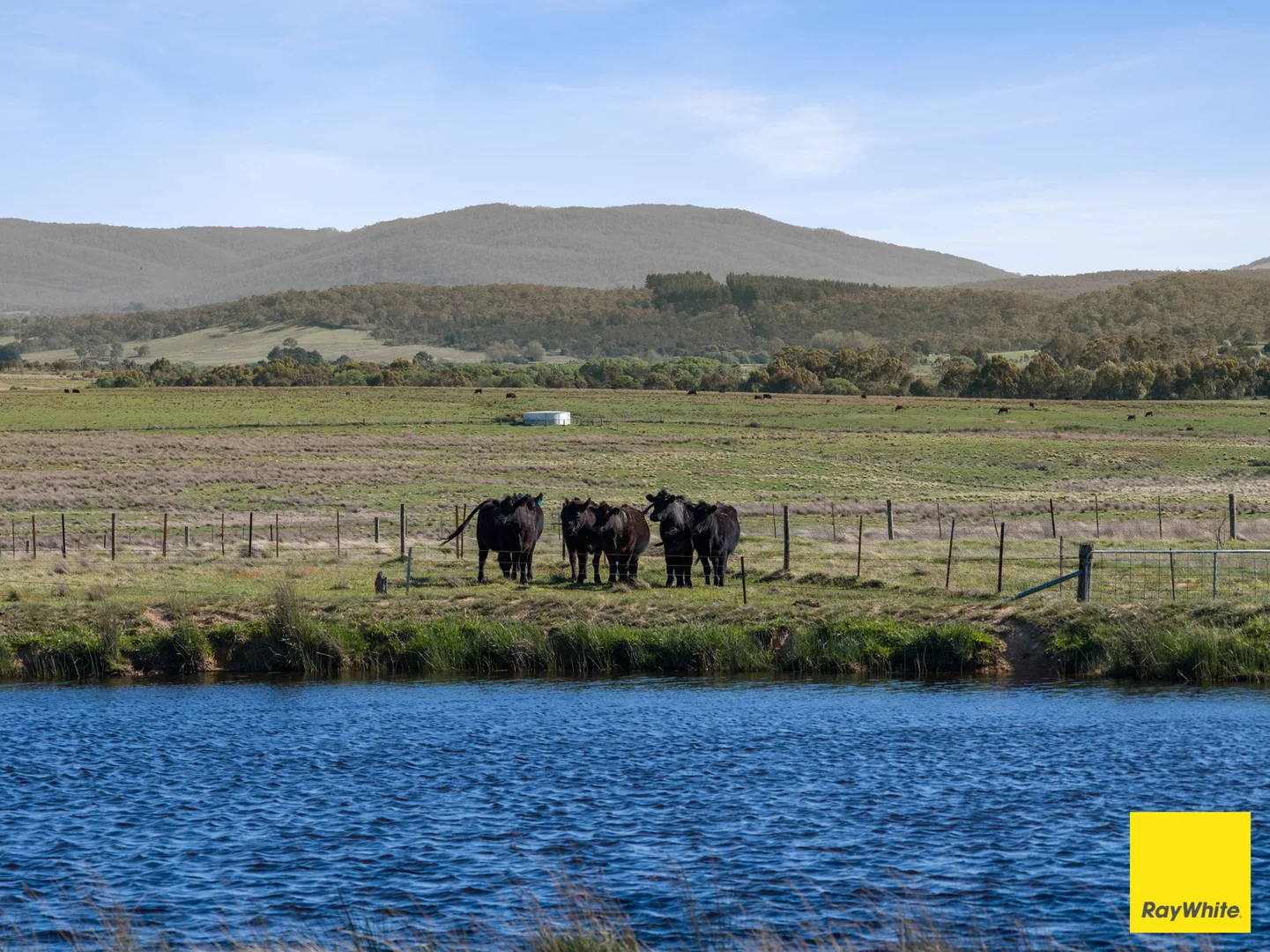 Additional image 39 of 115 Goulburn Road, Mulloon NSW 2622