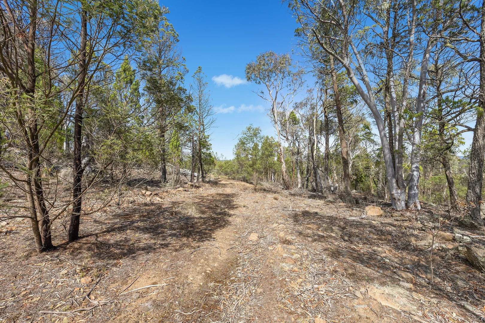 Additional image 6 of 102 Woodlands Drive, Cooma NSW 2630