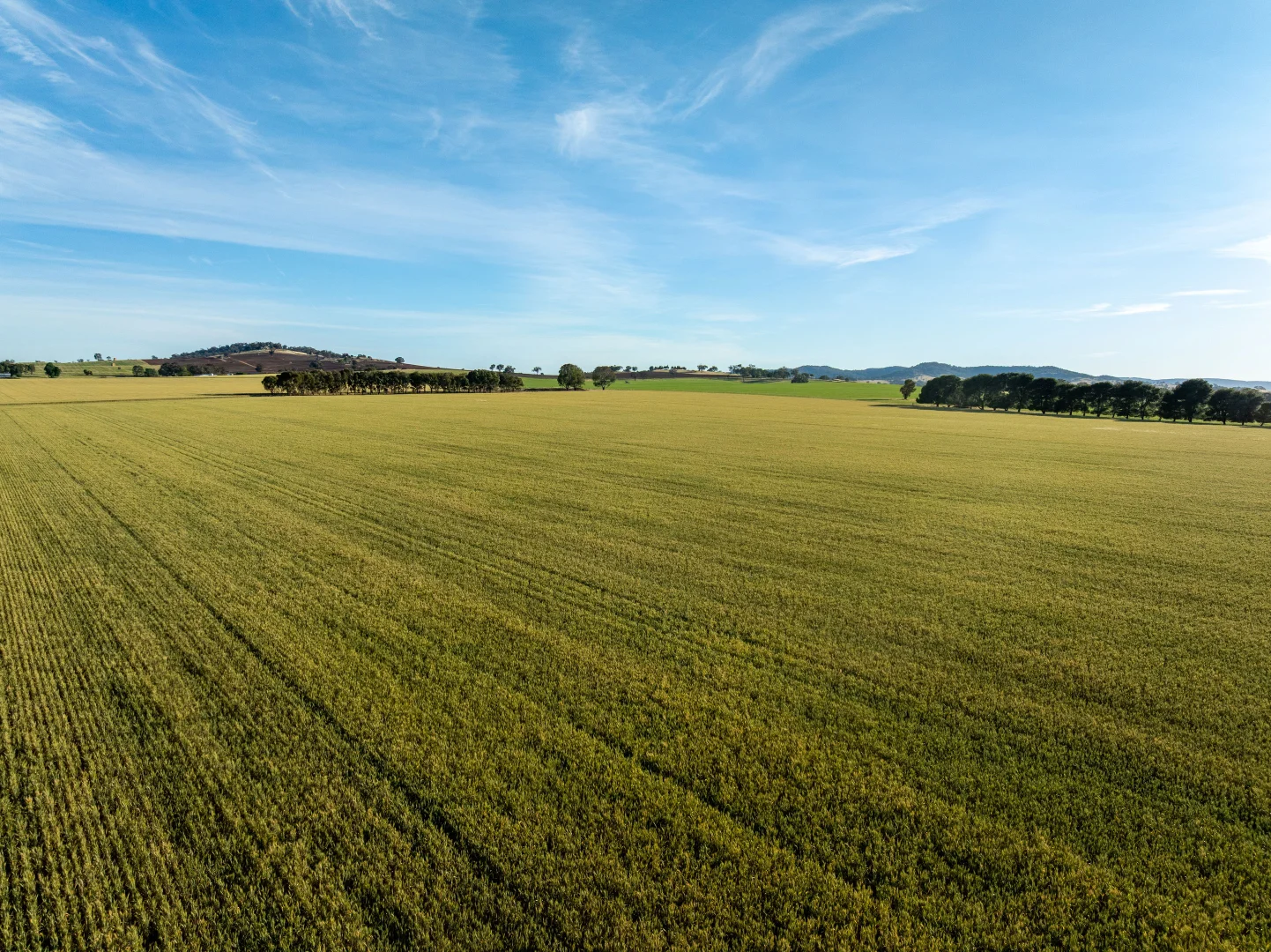 Additional image 4 of 158 Bethel Road, Burrumbuttock NSW 2642