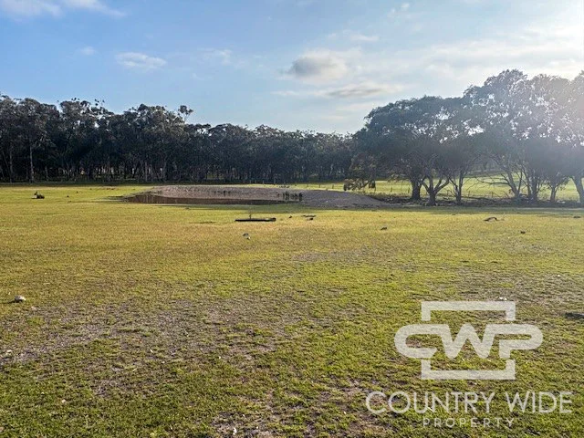 Additional image 29 of 1, - Emmaville Rd, Emmaville NSW 2371